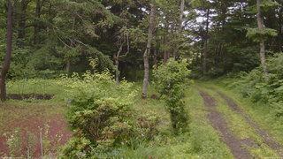 長野県菅平高原 ゆたか山荘 坂上 2026/07/06 10:30