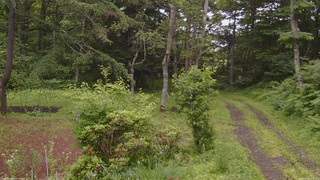長野県菅平高原 ゆたか山荘 坂上 2026/07/06 10:45