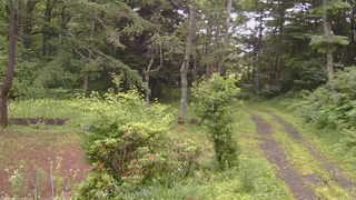 長野県菅平高原 ゆたか山荘 坂上 2026/07/06 11:00