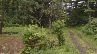 長野県菅平高原 ゆたか山荘 坂上 2026/07/06 11:30