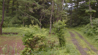 長野県菅平高原 ゆたか山荘 坂上 2026/07/06 11:45