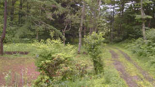 長野県菅平高原 ゆたか山荘 坂上 2026/07/06 12:00