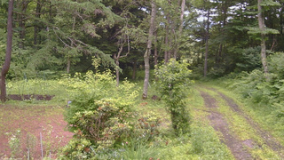 長野県菅平高原 ゆたか山荘 坂上 2026/07/06 12:15
