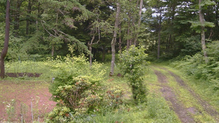 長野県菅平高原 ゆたか山荘 坂上 2026/07/06 12:30
