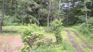 長野県菅平高原 ゆたか山荘 坂上 2026/07/06 13:00