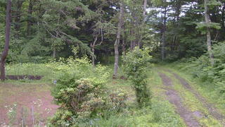 長野県菅平高原 ゆたか山荘 坂上 2026/07/06 13:15