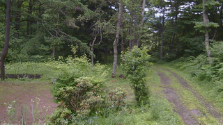長野県菅平高原 ゆたか山荘 坂上 2026/07/06 13:30