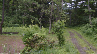 長野県菅平高原 ゆたか山荘 坂上 2026/07/06 13:45