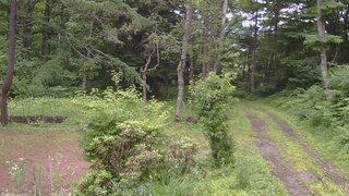長野県菅平高原 ゆたか山荘 坂上 2026/07/06 14:00