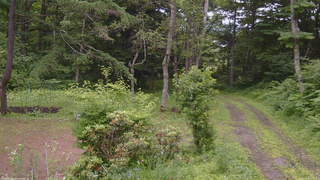 長野県菅平高原 ゆたか山荘 坂上 2026/07/06 14:15