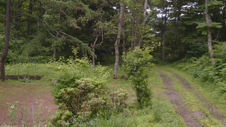 長野県菅平高原 ゆたか山荘 坂上 2026/07/06 14:45