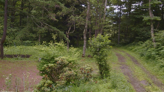 長野県菅平高原 ゆたか山荘 坂上 2026/07/06 15:00