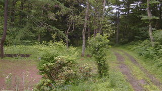 長野県菅平高原 ゆたか山荘 坂上 2026/07/06 16:00