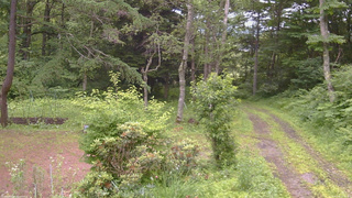長野県菅平高原 ゆたか山荘 坂上 2026/07/06 16:15