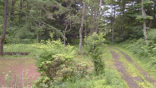 長野県菅平高原 ゆたか山荘 坂上 2026/07/06 16:45