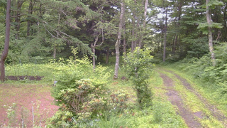 長野県菅平高原 ゆたか山荘 坂上 2026/07/06 17:00