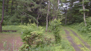 長野県菅平高原 ゆたか山荘 坂上 2026/07/06 17:15
