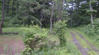 長野県菅平高原 ゆたか山荘 坂上 2026/07/06 18:15