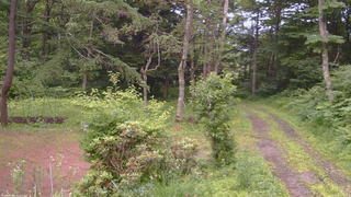 長野県菅平高原 ゆたか山荘 坂上 2026/07/06 18:45