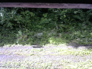 長野県菅平高原 ゆたか山荘 東側(坂下) 2026/07/07 08:15