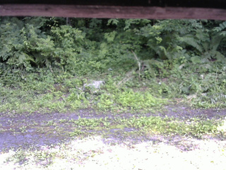 長野県菅平高原 ゆたか山荘 東側(坂下) 2026/07/07 14:45
