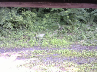 長野県菅平高原 ゆたか山荘 東側(坂下) 2026/07/07 15:15