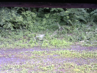 長野県菅平高原 ゆたか山荘 東側(坂下) 2026/07/07 15:45