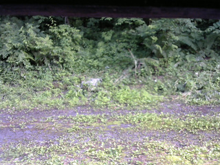 長野県菅平高原 ゆたか山荘 東側(坂下) 2026/07/07 16:15