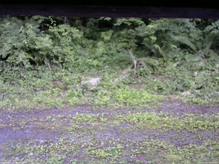 長野県菅平高原 ゆたか山荘 東側(坂下) 2026/07/07 18:15