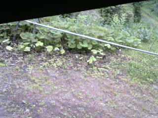 長野県菅平高原 ゆたか山荘 駐車場 2026/07/07 06:15