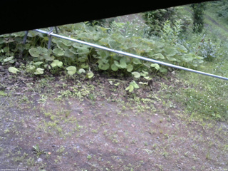 長野県菅平高原 ゆたか山荘 駐車場 2026/07/07 06:30