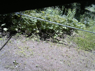 長野県菅平高原 ゆたか山荘 駐車場 2026/07/07 09:00