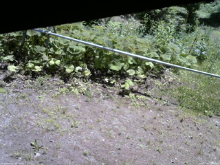 長野県菅平高原 ゆたか山荘 駐車場 2026/07/07 10:30