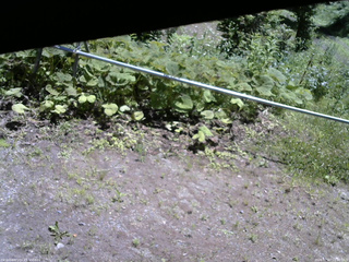 長野県菅平高原 ゆたか山荘 駐車場 2026/07/07 11:00