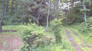 長野県菅平高原 ゆたか山荘 坂上 2026/07/07 05:15