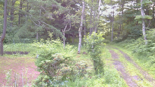 長野県菅平高原 ゆたか山荘 坂上 2026/07/07 05:30