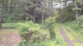 長野県菅平高原 ゆたか山荘 坂上 2026/07/07 05:45
