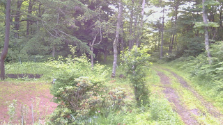 長野県菅平高原 ゆたか山荘 坂上 2026/07/07 06:00