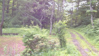 長野県菅平高原 ゆたか山荘 坂上 2026/07/07 06:15