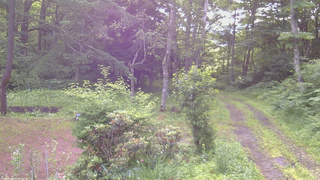 長野県菅平高原 ゆたか山荘 坂上 2026/07/07 06:30