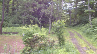 長野県菅平高原 ゆたか山荘 坂上 2026/07/07 07:00