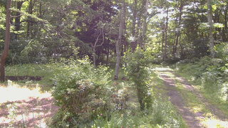 長野県菅平高原 ゆたか山荘 坂上 2026/07/07 08:15