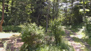 長野県菅平高原 ゆたか山荘 坂上 2026/07/07 08:45