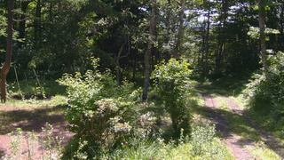 長野県菅平高原 ゆたか山荘 坂上 2026/07/07 09:30