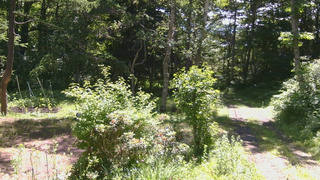 長野県菅平高原 ゆたか山荘 坂上 2026/07/07 09:45