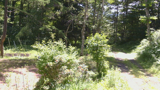 長野県菅平高原 ゆたか山荘 坂上 2026/07/07 10:00