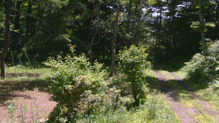 長野県菅平高原 ゆたか山荘 坂上 2026/07/07 10:15