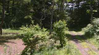 長野県菅平高原 ゆたか山荘 坂上 2026/07/07 10:30