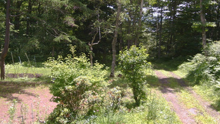 長野県菅平高原 ゆたか山荘 坂上 2026/07/07 10:45