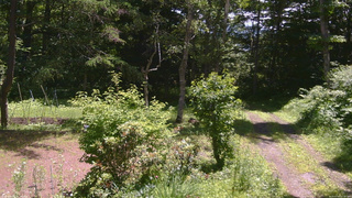 長野県菅平高原 ゆたか山荘 坂上 2026/07/07 11:00
